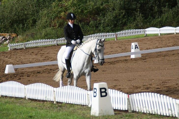 Stævne på Odsherred rideklub billede 21