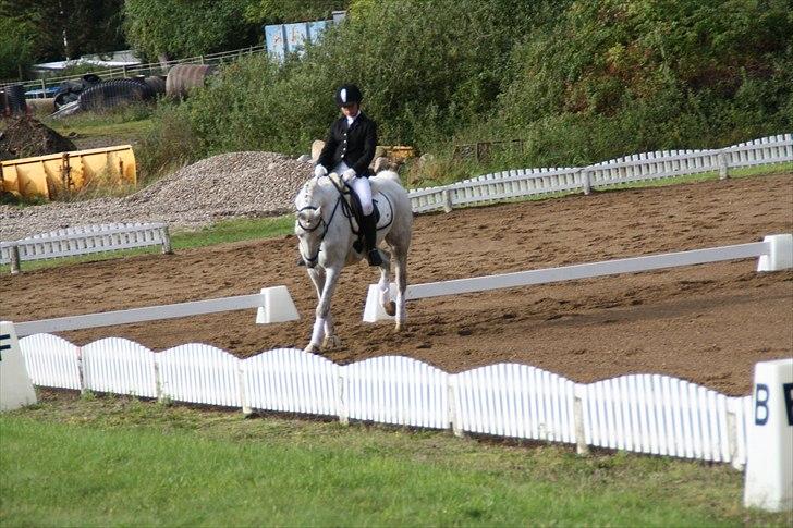 Stævne på Odsherred rideklub billede 22