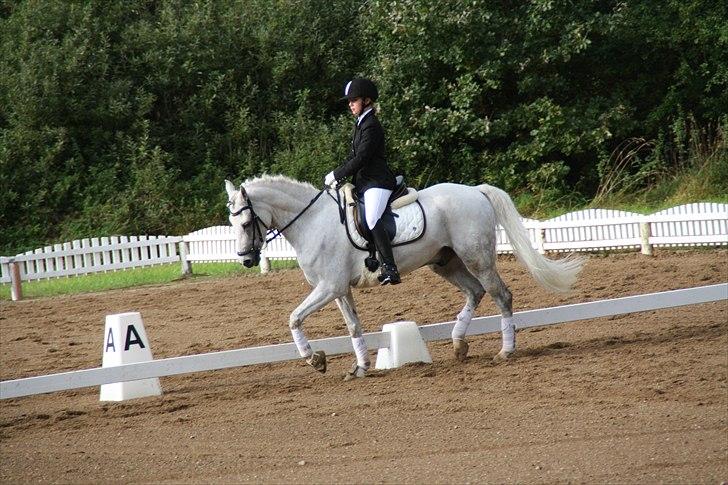 Stævne på Odsherred rideklub billede 23