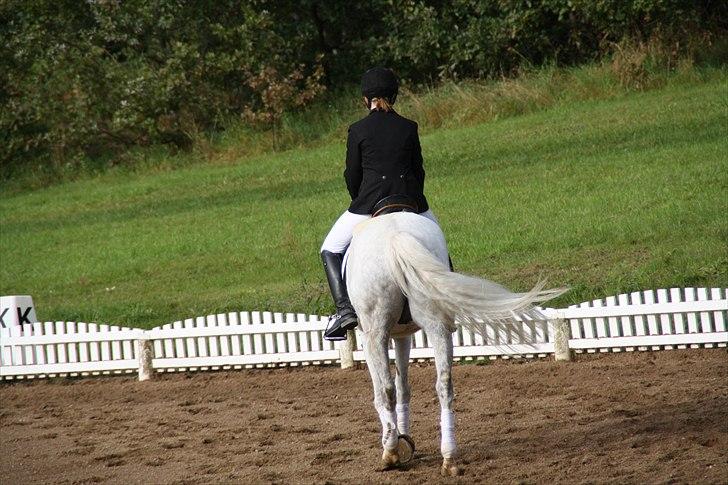 Stævne på Odsherred rideklub billede 24