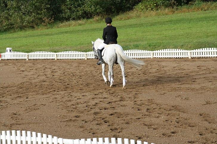 Stævne på Odsherred rideklub billede 25