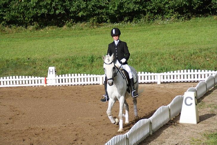 Stævne på Odsherred rideklub billede 26