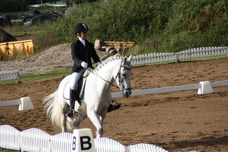 Stævne på Odsherred rideklub billede 27