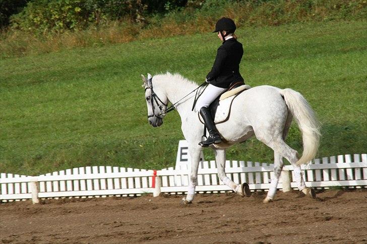 Stævne på Odsherred rideklub billede 30