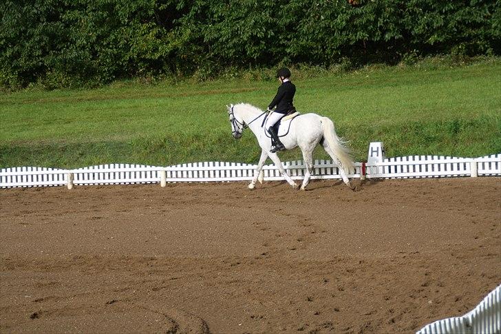 Stævne på Odsherred rideklub billede 31
