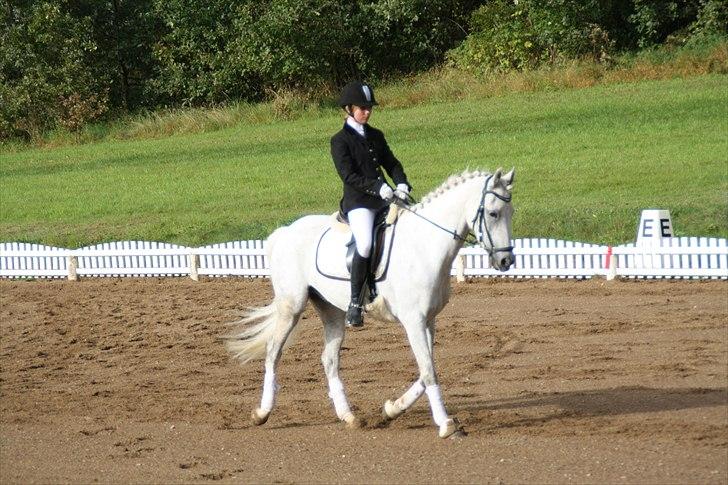 Stævne på Odsherred rideklub billede 32