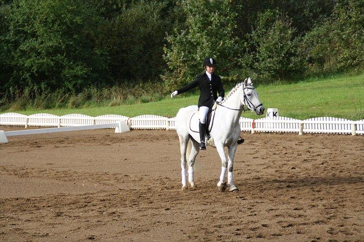 Stævne på Odsherred rideklub billede 33