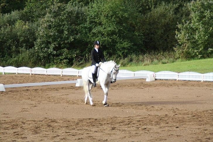 Stævne på Odsherred rideklub billede 34
