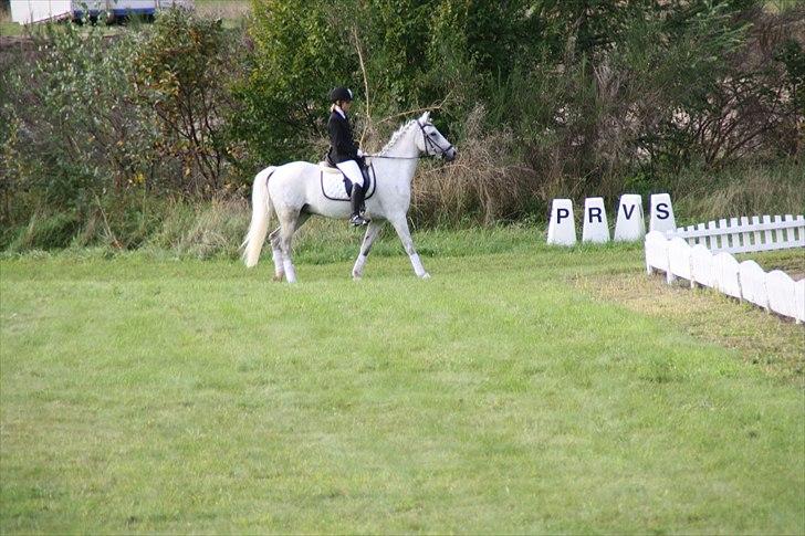 Stævne på Odsherred rideklub billede 35