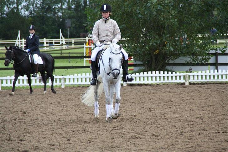 Stævne på Odsherred rideklub billede 36