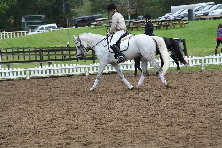 Stævne på Odsherred rideklub billede 37