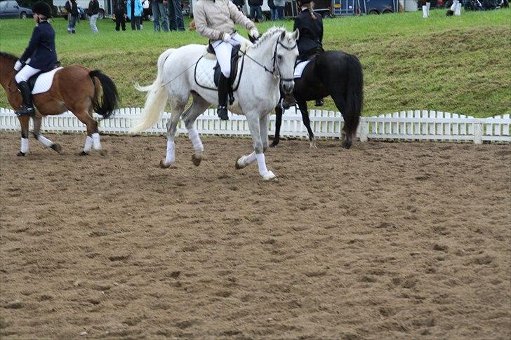 Stævne på Odsherred rideklub billede 38