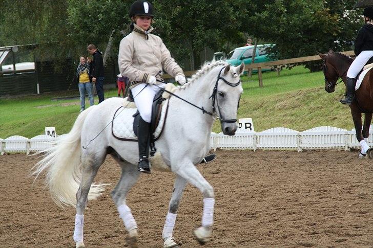 Stævne på Odsherred rideklub - Ummmf! en lækker pony jeg har! billede 39