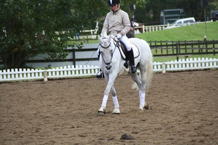 Stævne på Odsherred rideklub billede 40