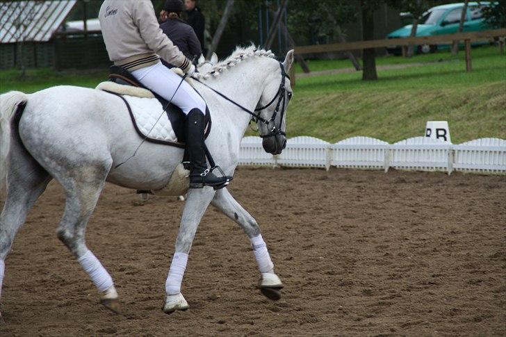 Stævne på Odsherred rideklub billede 42