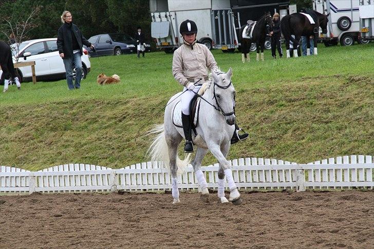 Stævne på Odsherred rideklub billede 43