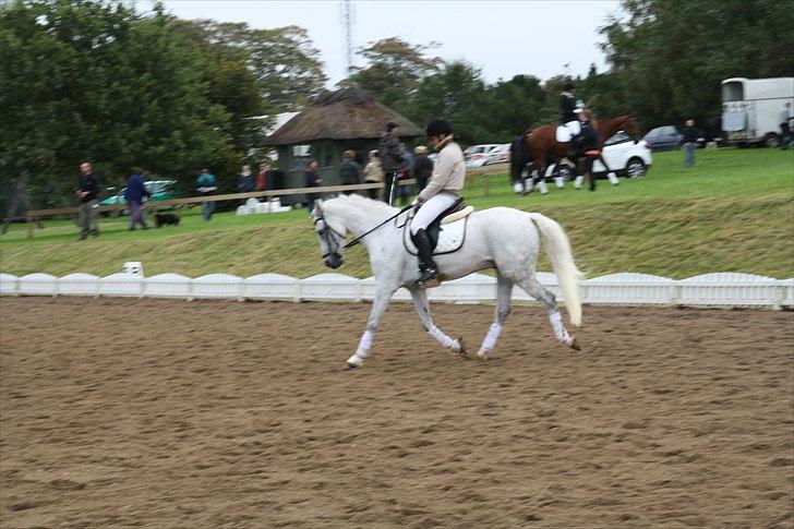 Stævne på Odsherred rideklub billede 45