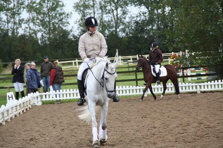 Stævne på Odsherred rideklub billede 46