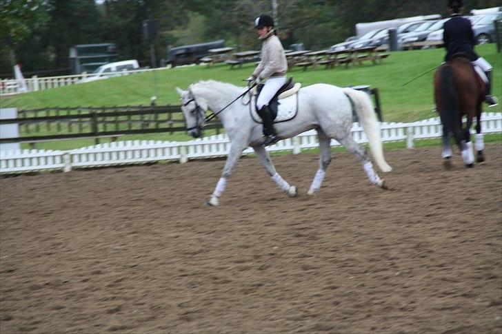 Stævne på Odsherred rideklub billede 47