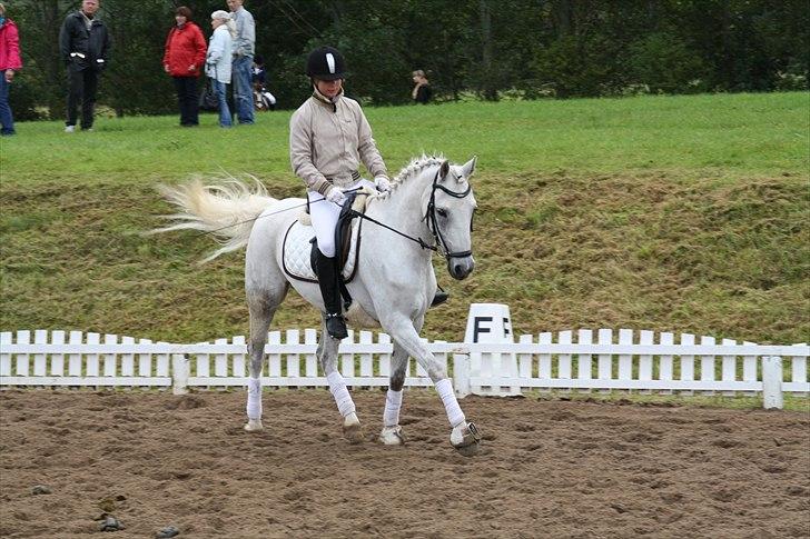 Stævne på Odsherred rideklub billede 48