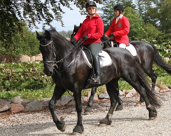 Hagenskov godsjagt 2010 billede 54