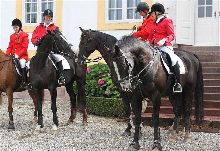 Hagenskov godsjagt 2010 billede 53