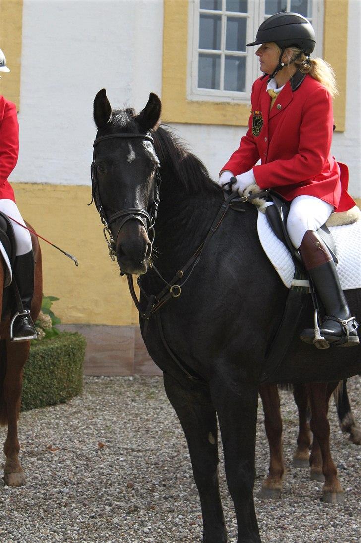 Hagenskov godsjagt 2010 - Anette og Tyson billede 52