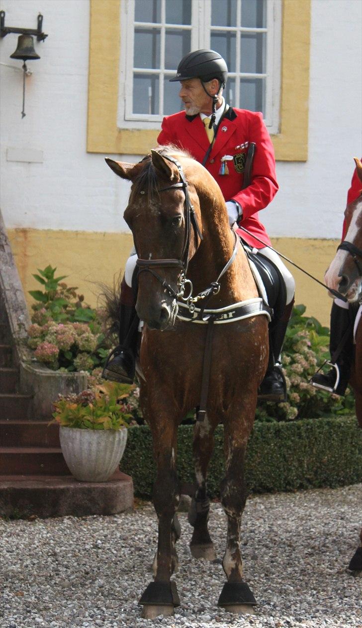 Hagenskov godsjagt 2010 - Mogens og Faustino billede 51