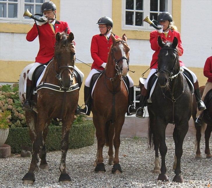 Hagenskov godsjagt 2010 - Fra venstre Mogens og Faustino, Ulla og Bastian, Anette og Tyson billede 50