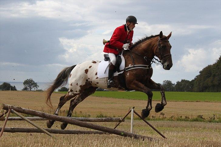 Hagenskov godsjagt 2010 - Mogens og Faustino billede 49