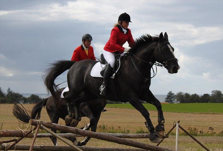 Hagenskov godsjagt 2010 billede 48