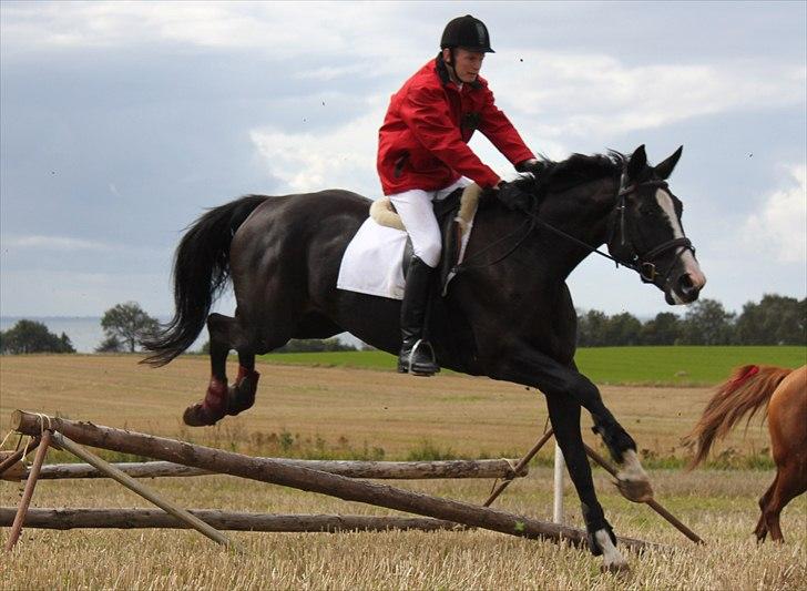 Hagenskov godsjagt 2010 billede 47