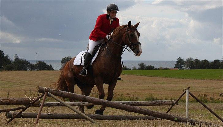 Hagenskov godsjagt 2010 - Ulla og Bastian billede 46