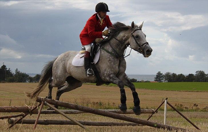 Hagenskov godsjagt 2010 - Brian billede 45