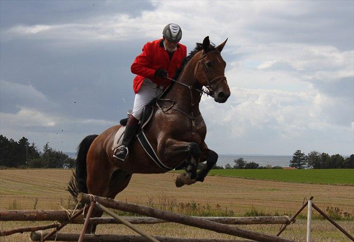 Hagenskov godsjagt 2010 - Lars billede 44