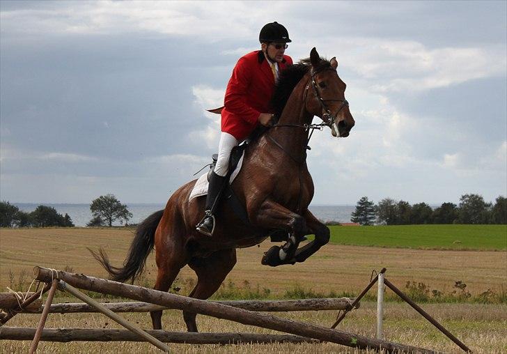 Hagenskov godsjagt 2010 billede 43