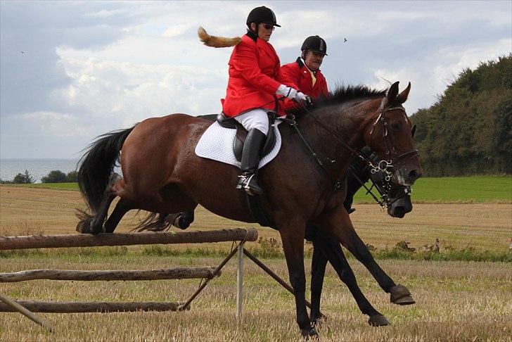 Hagenskov godsjagt 2010 - Kate og Cadeu, Bruno og Zoya billede 41