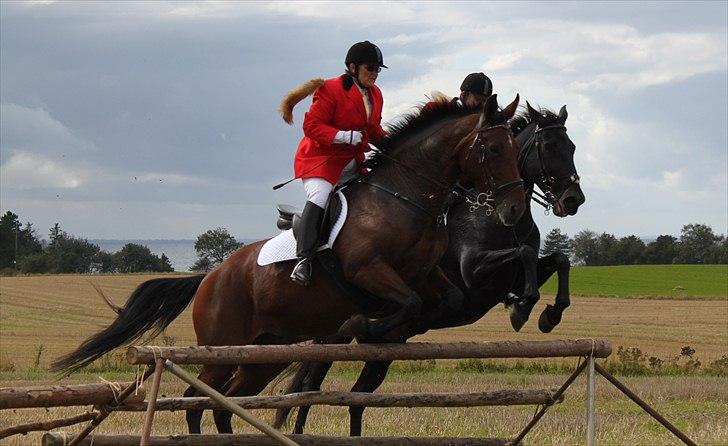 Hagenskov godsjagt 2010 - Kate og Cadeu, Bruno og Zoya billede 40