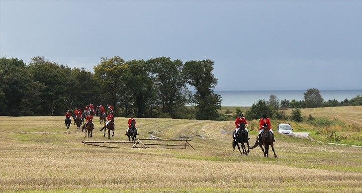 Hagenskov godsjagt 2010 billede 39