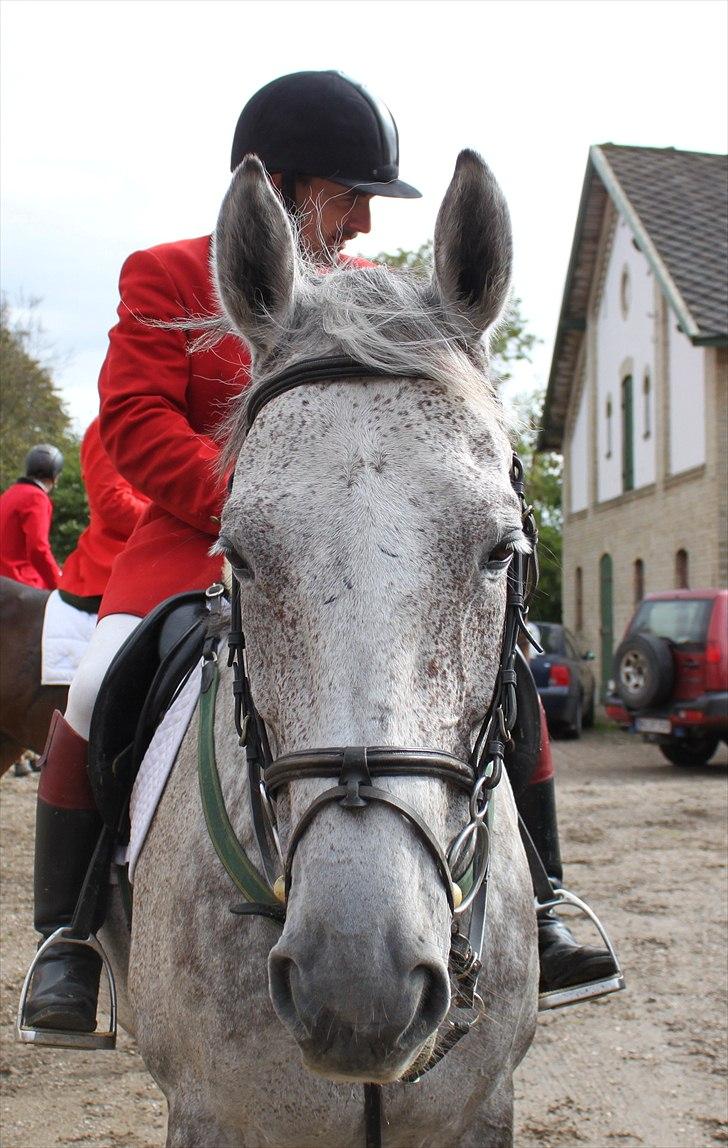 Hagenskov godsjagt 2010 billede 37