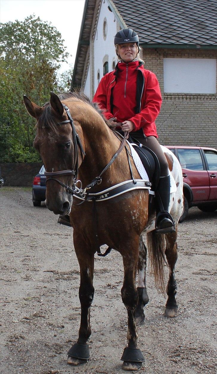 Hagenskov godsjagt 2010 - Kathrine og Faustino billede 38