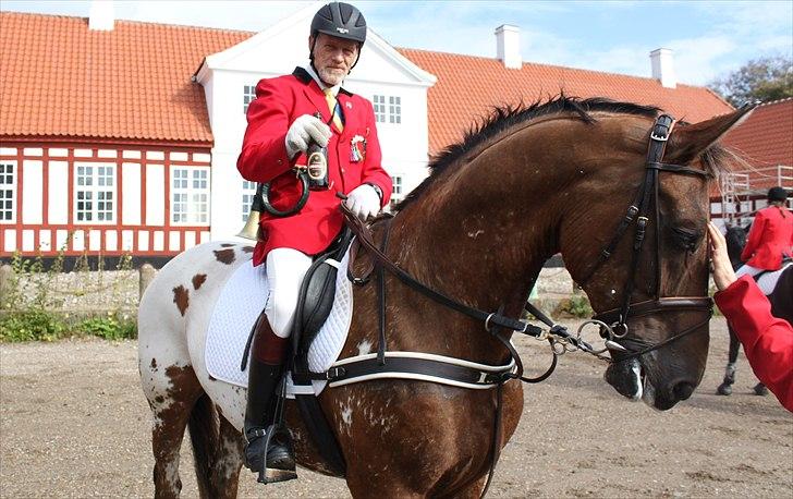 Hagenskov godsjagt 2010 - Mogens og Faustino billede 35