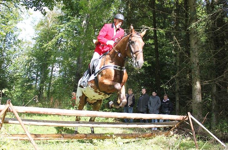 Hagenskov godsjagt 2010 - Mogens og Faustino billede 33