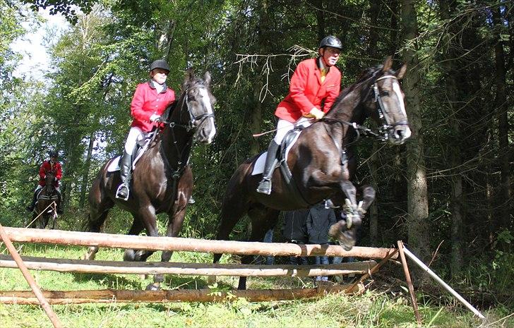 Hagenskov godsjagt 2010 billede 32