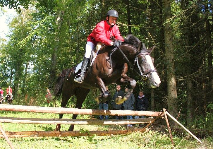 Hagenskov godsjagt 2010 billede 31