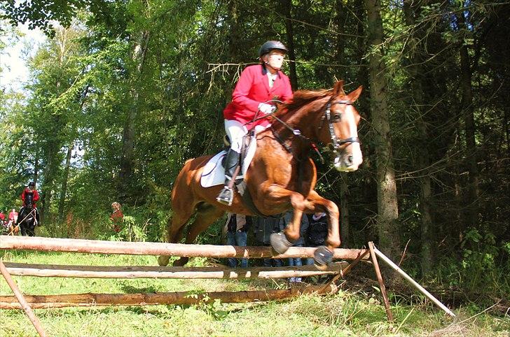 Hagenskov godsjagt 2010 - Ulla og Bastian billede 30