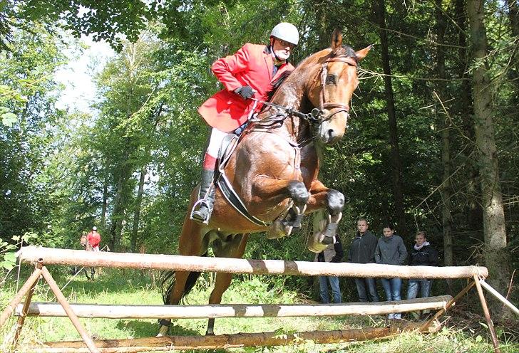 Hagenskov godsjagt 2010 billede 29