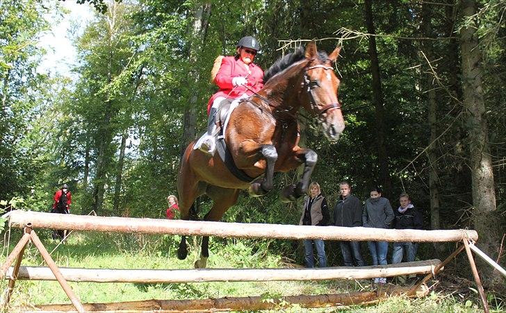 Hagenskov godsjagt 2010 - Kate og Cadeu billede 28
