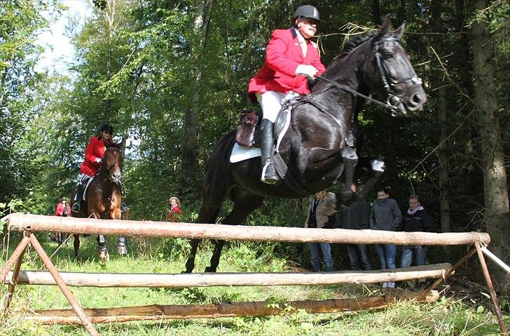 Hagenskov godsjagt 2010 - Bruno og Zoya billede 27