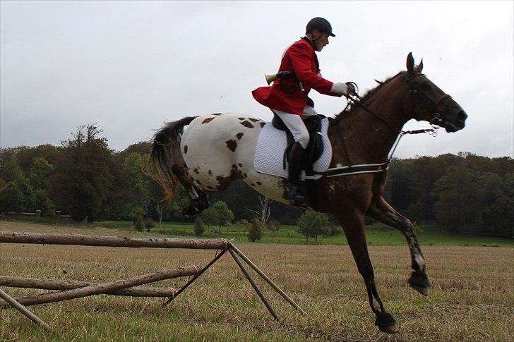 Hagenskov godsjagt 2010 - Mogens og Faustino billede 26